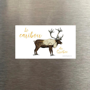 Aimant Caribou